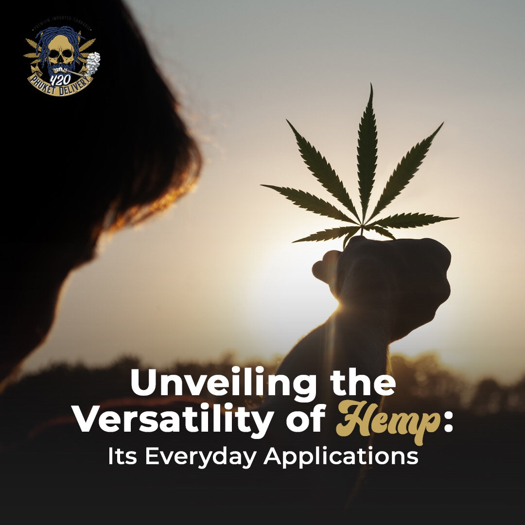 Unveiling the Versatility of Hemp: Its Everyday Applications
