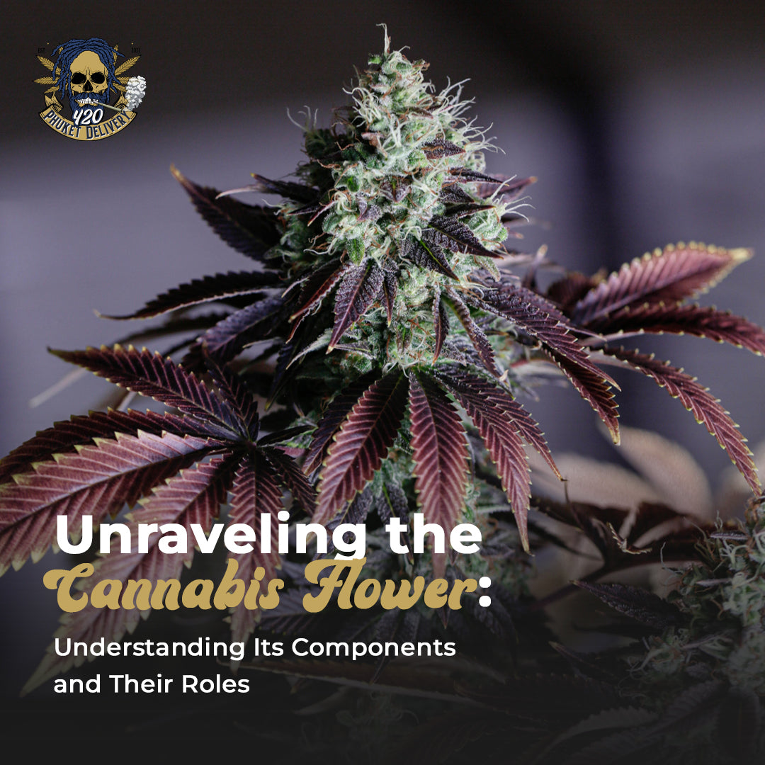 Unraveling the Cannabis Flower: Understanding Its Components and Their Roles