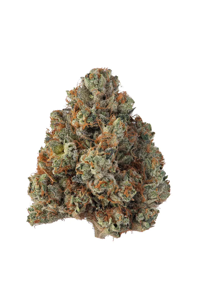 Khalifa Kush 21% THC