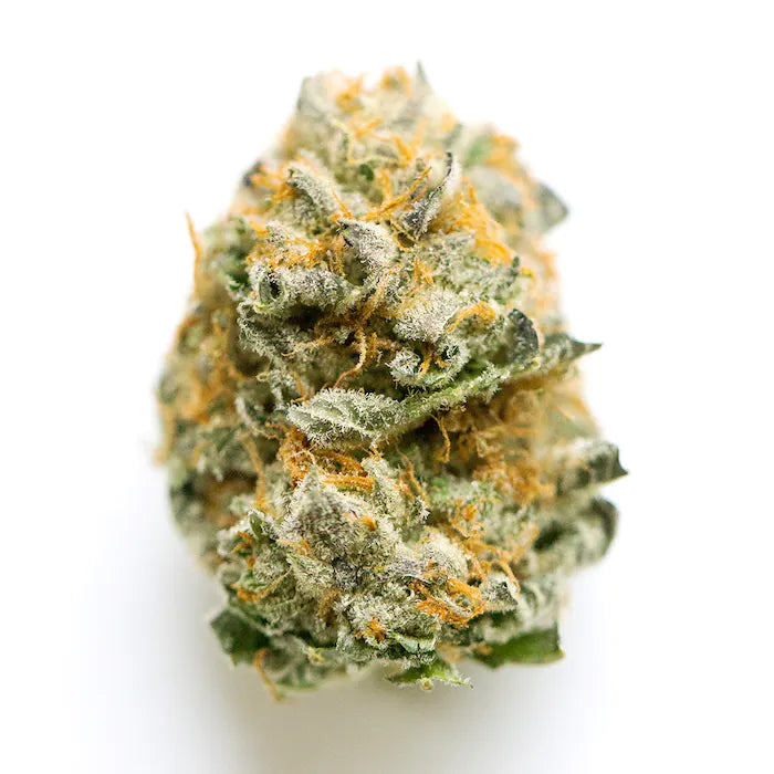 RS11 20% THC
